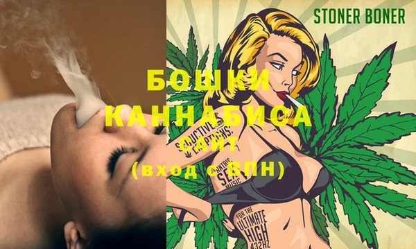ПСИЛОЦИБИНОВЫЕ ГРИБЫ Сатка
