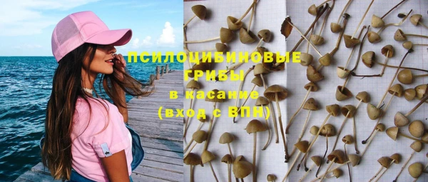 соль ск Саяногорск