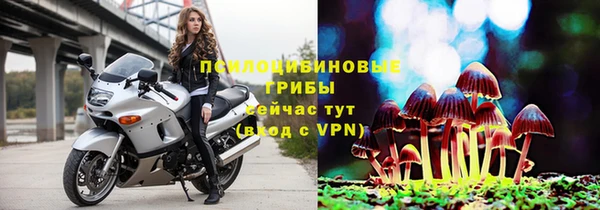 соль ск Саяногорск