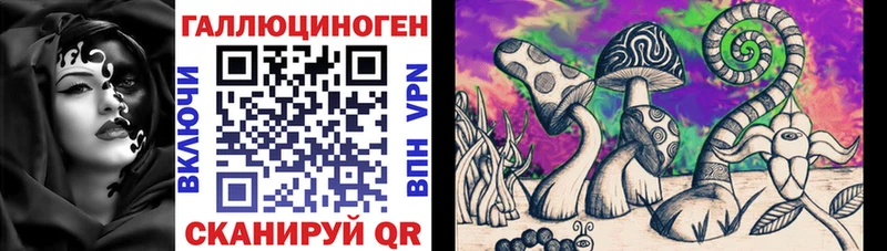 закладка  Холмск  Псилоцибиновые грибы GOLDEN TEACHER 