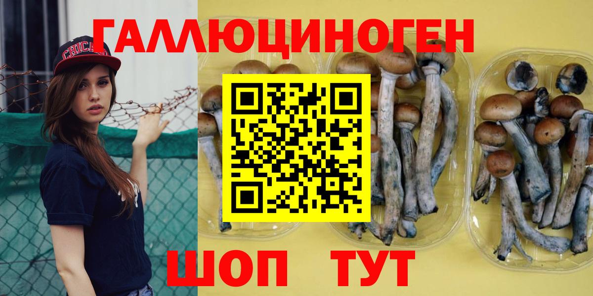 Галлюциногенные грибы ЛСД Холмск