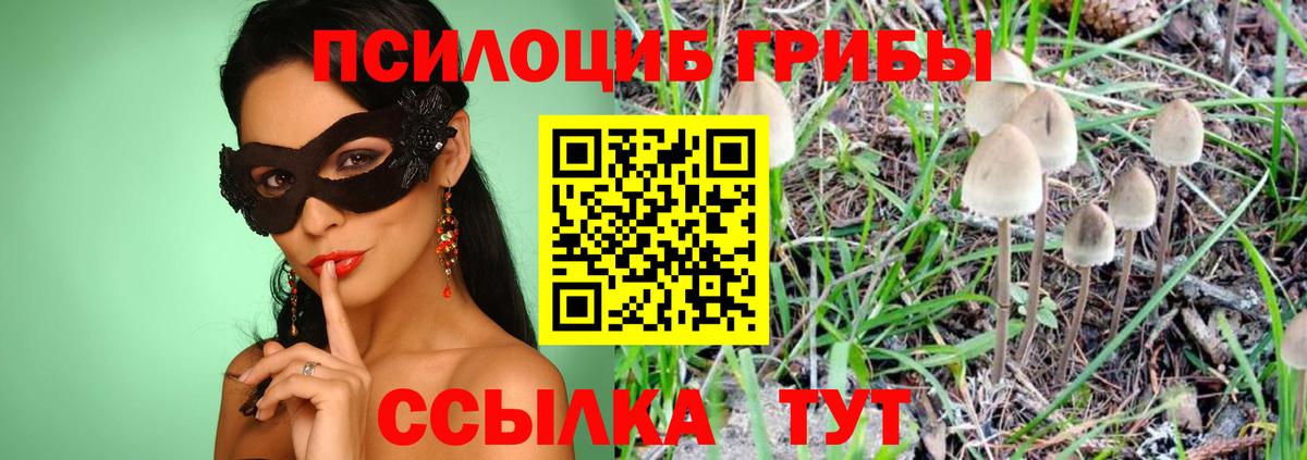Псилоцибиновые грибы Cubensis  Псилоцибиновые грибы мицелий  Вход с VPN  Холмск 
